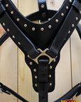 HILASON Genuine Leather Dog Harness Padded Matching Leash Black