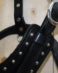 HILASON Genuine Leather Dog Harness Padded Matching Leash Black