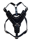 HILASON Genuine Leather Dog Harness Padded Heavy Duty & Comfortable Fit