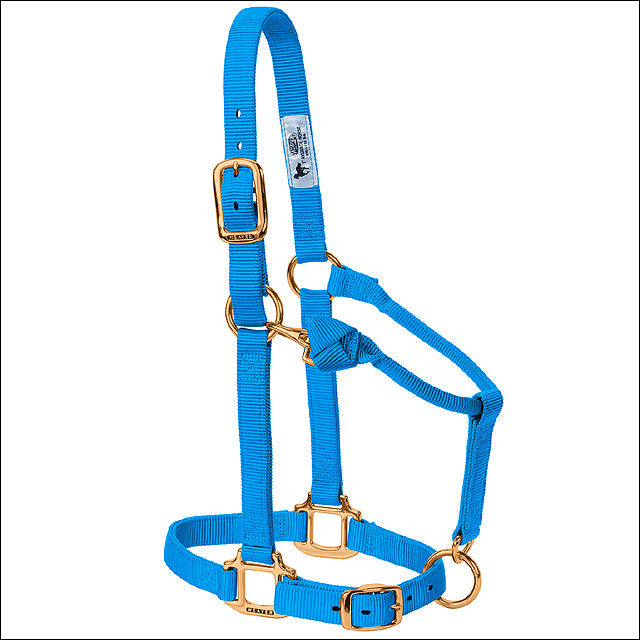 Hurricane Blue Weaver Adjustable Chin Throat Snap Halter 3/4" Weanling Pony