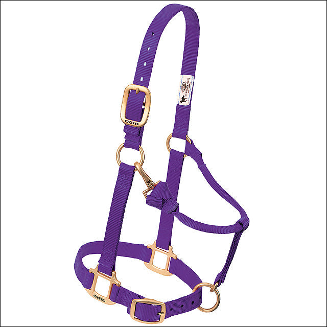 Purple Weaver Western Tack Adjustable Horse Halter 1" Yearling