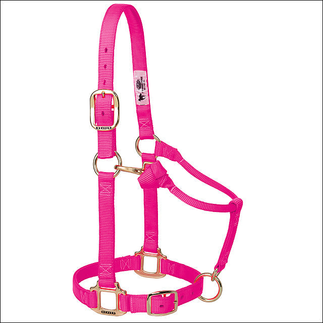 Weaver Pink Horse Nylon Heat Sealed Buckle Halter Adjustable Small