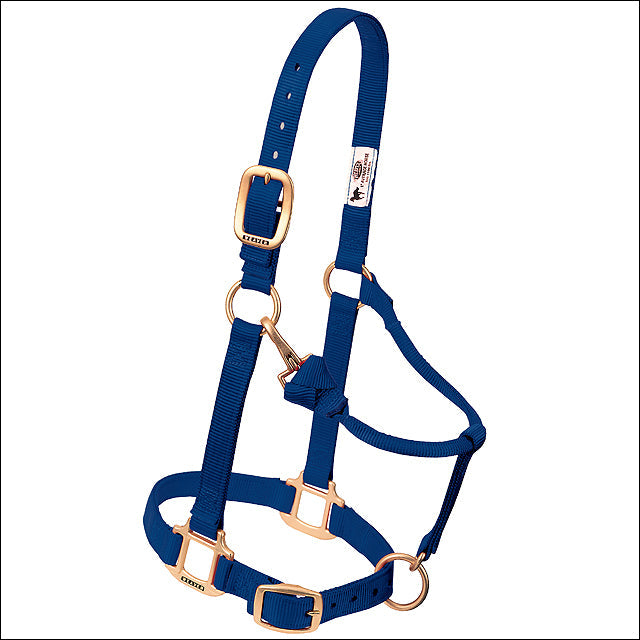 Weaver Navy Green Horse Nylon Heat Sealed Buckle Halter Adjustable Small