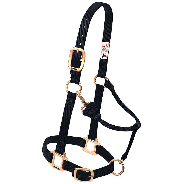 Large Weaver Horse Halter Nylon Heat Sealed Buckle Chin Throat Black
