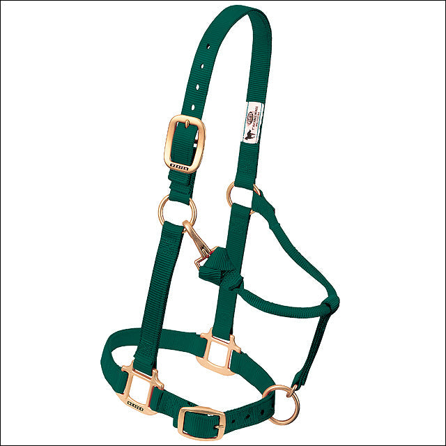 Large Weaver Horse Halter Nylon Heat Sealed Buckle Chin Throat Hunter Green