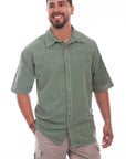 Palm Embroidery - 5202