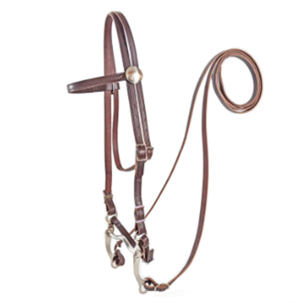 Hilason 5/8" Poly Horse Bridle with Reins w/ Durable Brown Headstall &amp; Bit Set
