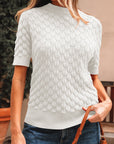 Fish Scale Textured Knit Short Sleeve Sweater