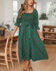 Scarlett Waist Flared Midi Dress