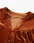 Velvet Lantern Sleeve Beaded V-Neck Blouse