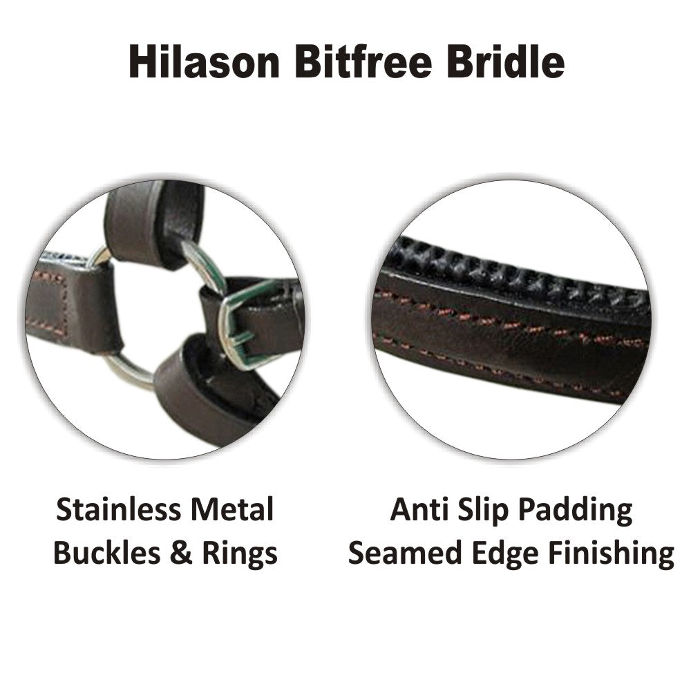 Hilason English Bitless Bridle - Full Grain Leather with Reins