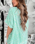 Velvet Sequin V-Neck Blouse