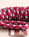 Hilason Horse Riding Poly Lead Rope 1/4" X 9 Ft. Red Turquoise
