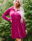 Velvet Ruffle Buttoned Long Sleeve Dress
