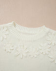 Floral Textured Puff Sleeve Round Neck Sweater