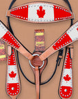 HILASON Western Horse Headstall & Breast Collar American Leather Canadian Flag | Tack Set for Horses