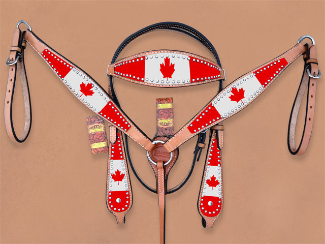 HILASON Western Horse Headstall &amp; Breast Collar American Leather Canadian Flag | Tack Set for Horses