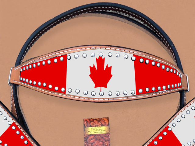 HILASON Western Horse Headstall &amp; Breast Collar American Leather Canadian Flag | Tack Set for Horses