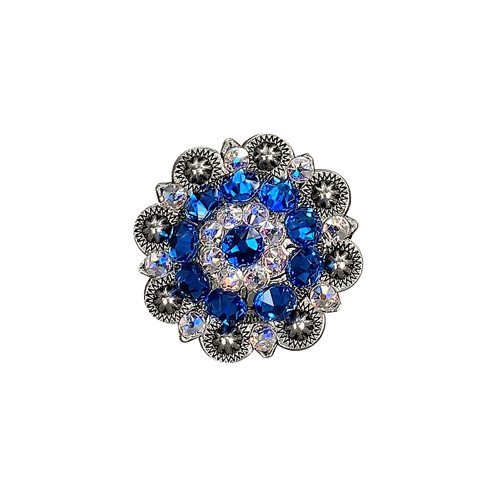 Capri &amp; AB Antique Silver 1.5" European Crystal Concho