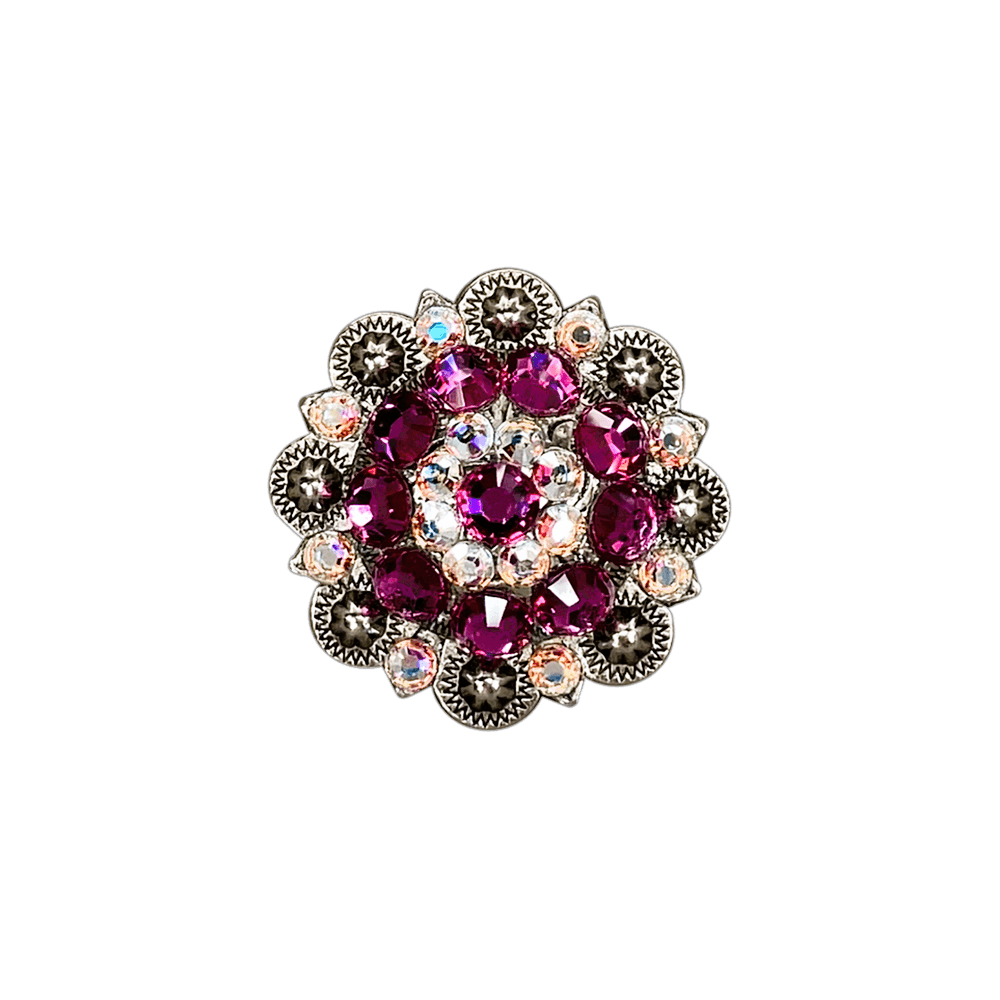 Fuchsia &amp; AB Antique Silver 1.5" European Crystal Concho