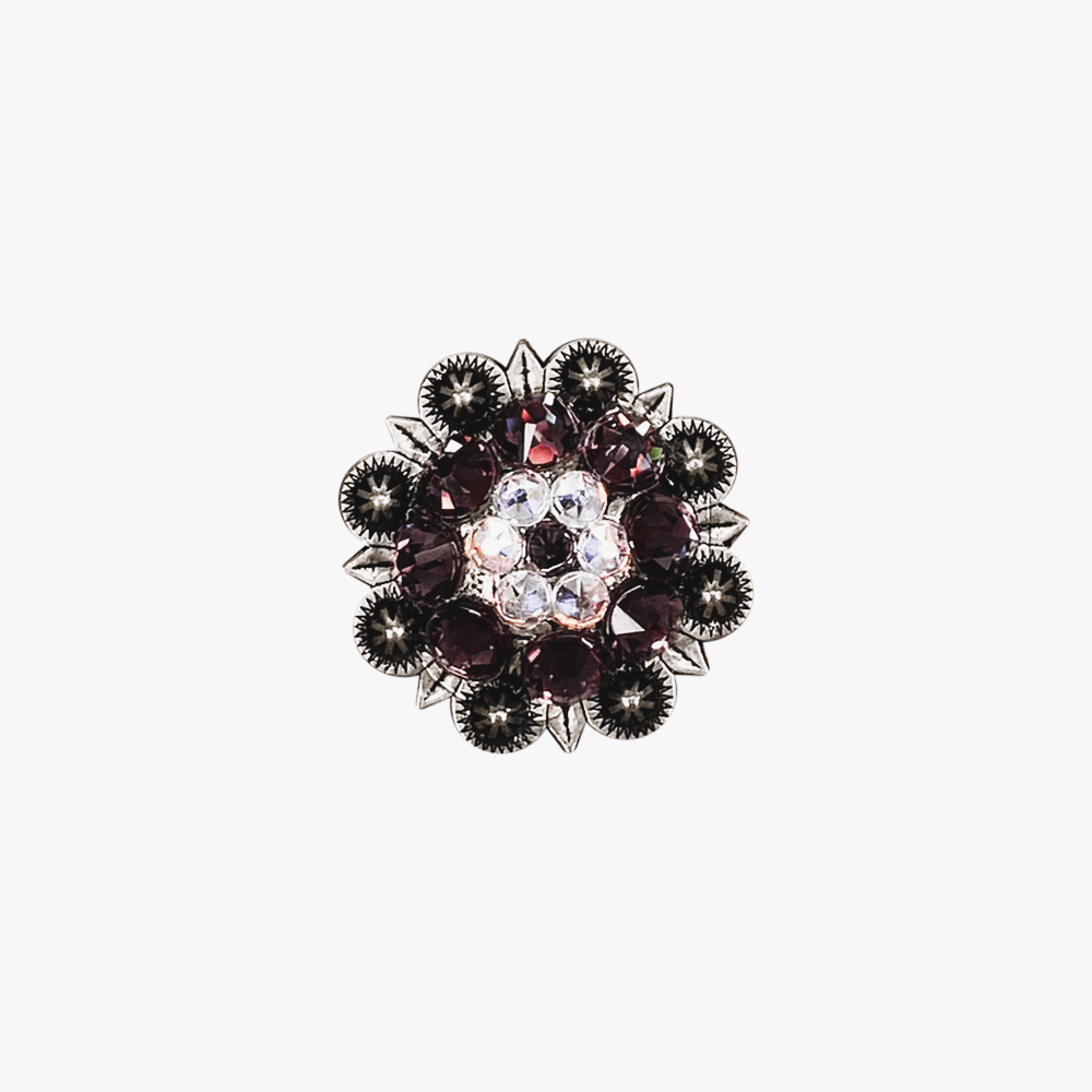 Amethyst &amp; AB Antique Silver 1.25" European Crystal Concho