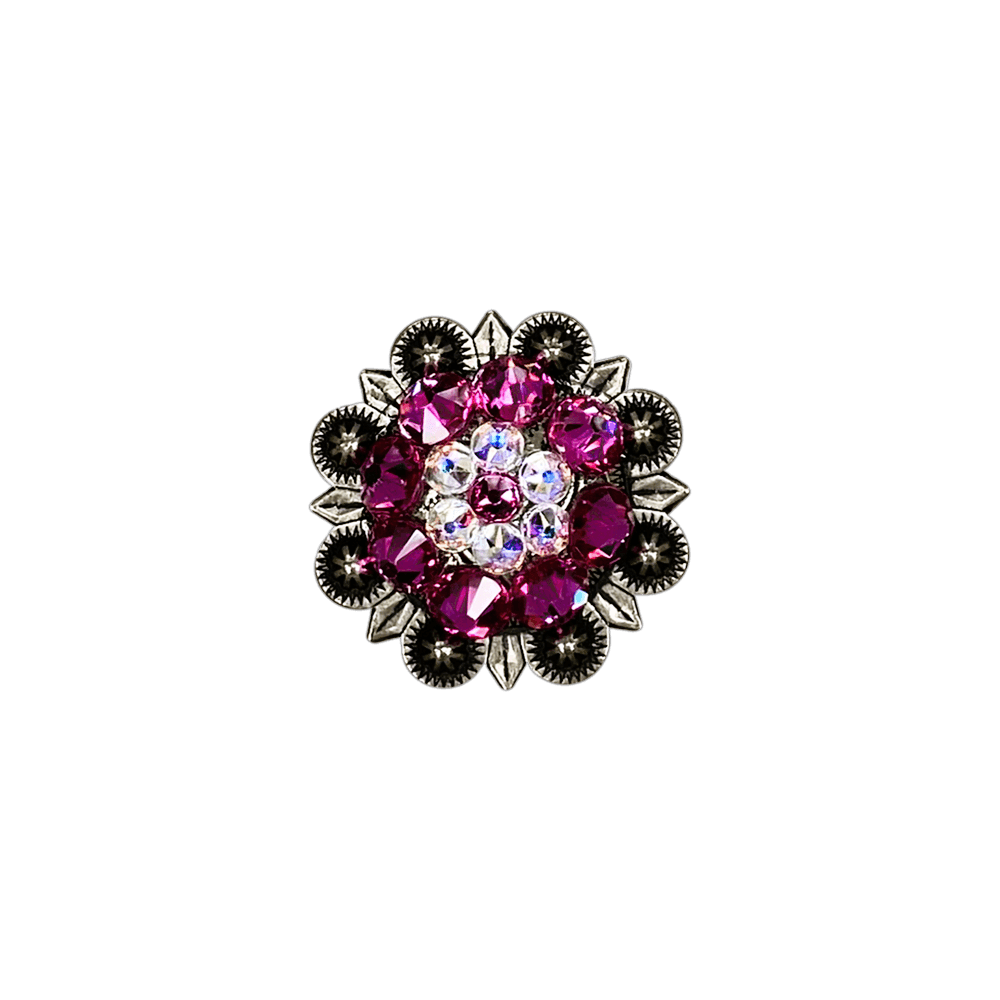 Fuchsia &amp; AB Antique Silver 1.25" European Crystal Concho