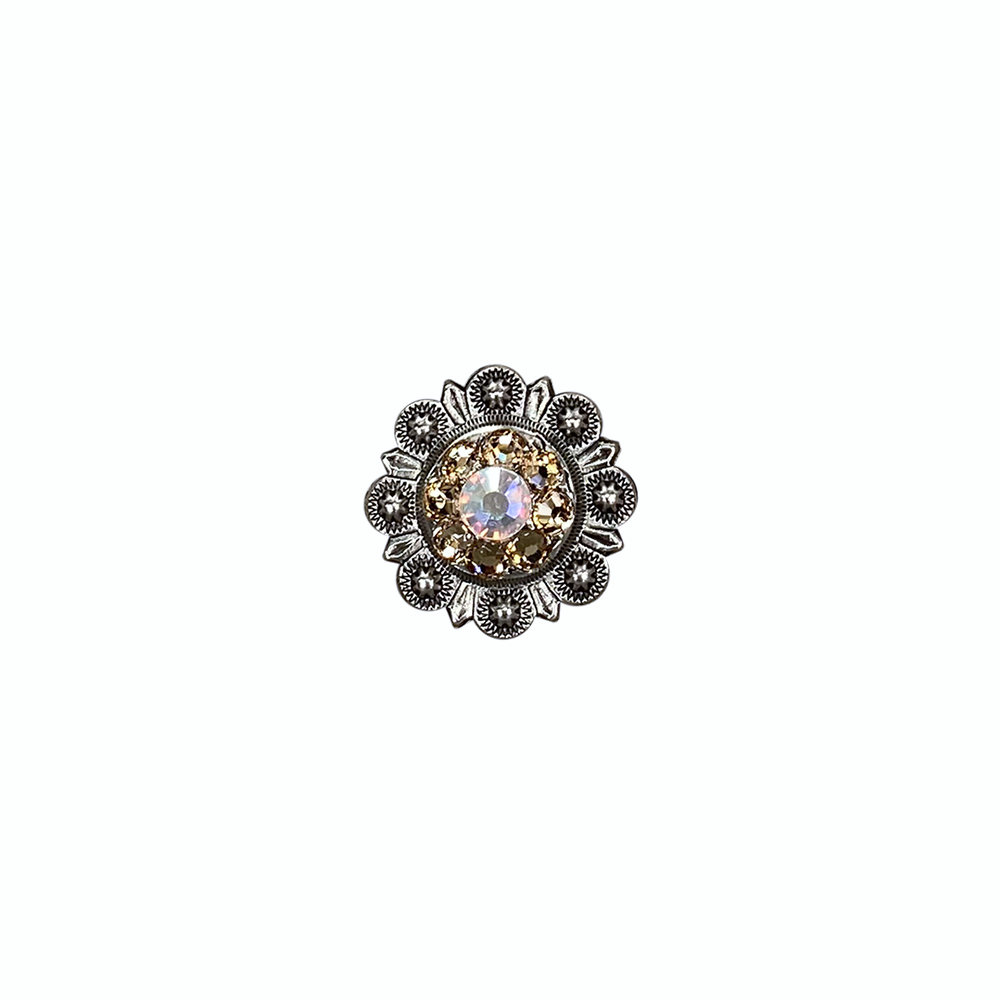 Antique Silver Champagne, AB Crystal Conchos - Sizes from 1"- 3" and Buckles