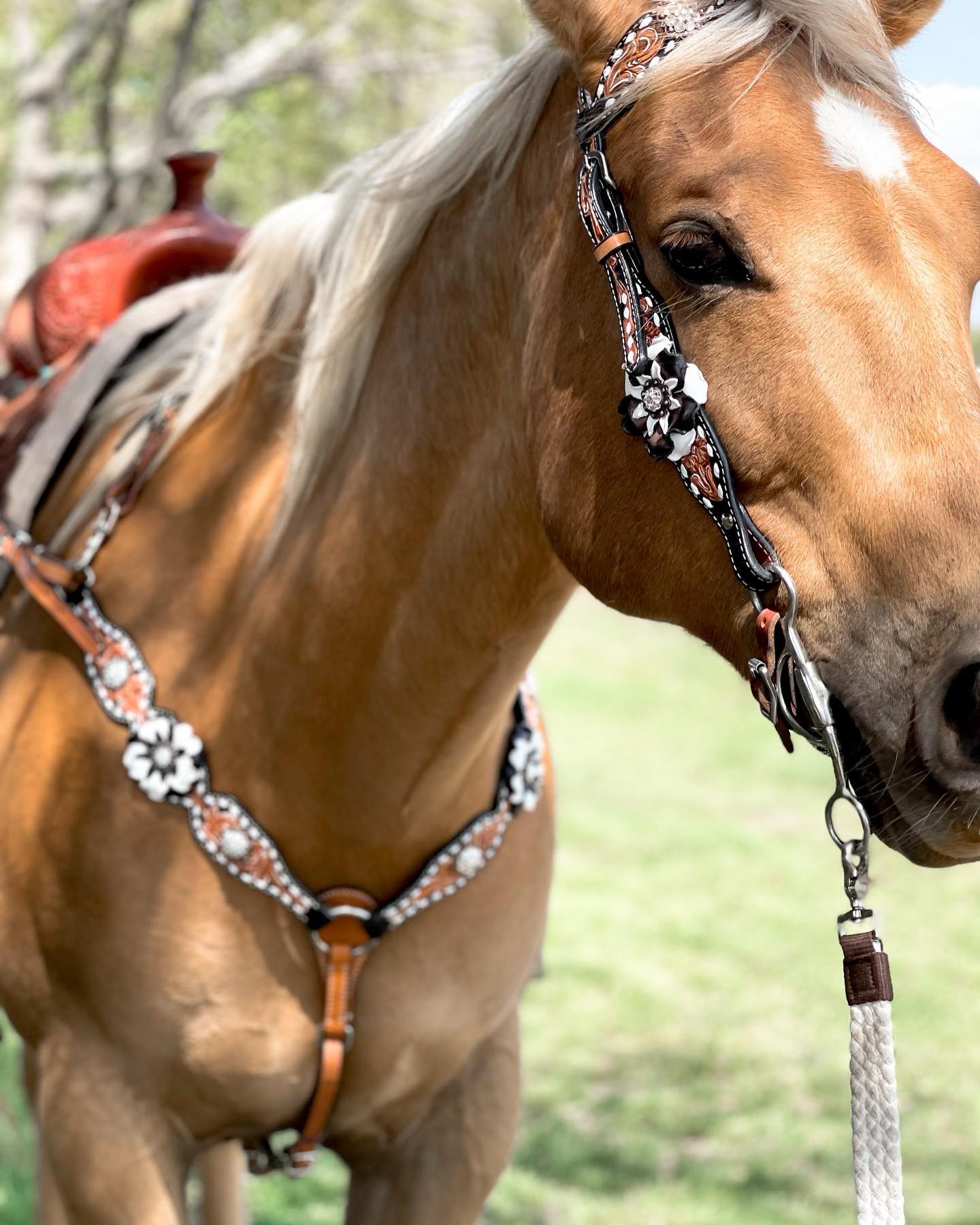 Buckstitch Flower Browband / One Ear Tack Set 