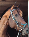 Replacement Noseband of ExionPro Anatomical Combined Flash Bridle with Reins