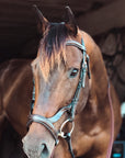 ExionPro Anatomical Combined Flash Bridle with Reins