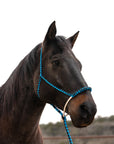 Blue and Black Mule Tape Halter with Lariat Noseband