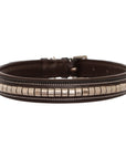 ExionPro Silver Clincher Padded Leather Dog Collar - Brown Padding