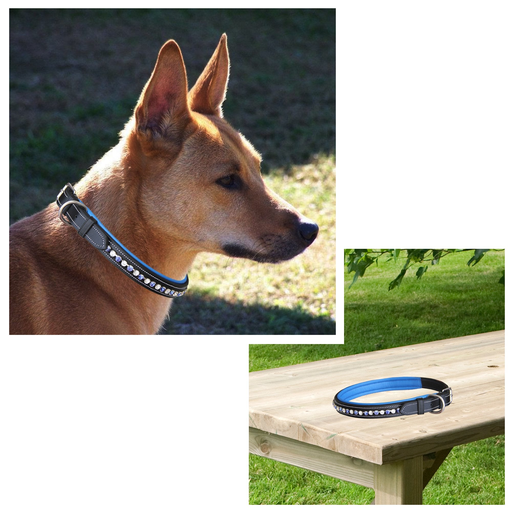 ExionPro White &amp; Blue Bling Dog Collar With Leash