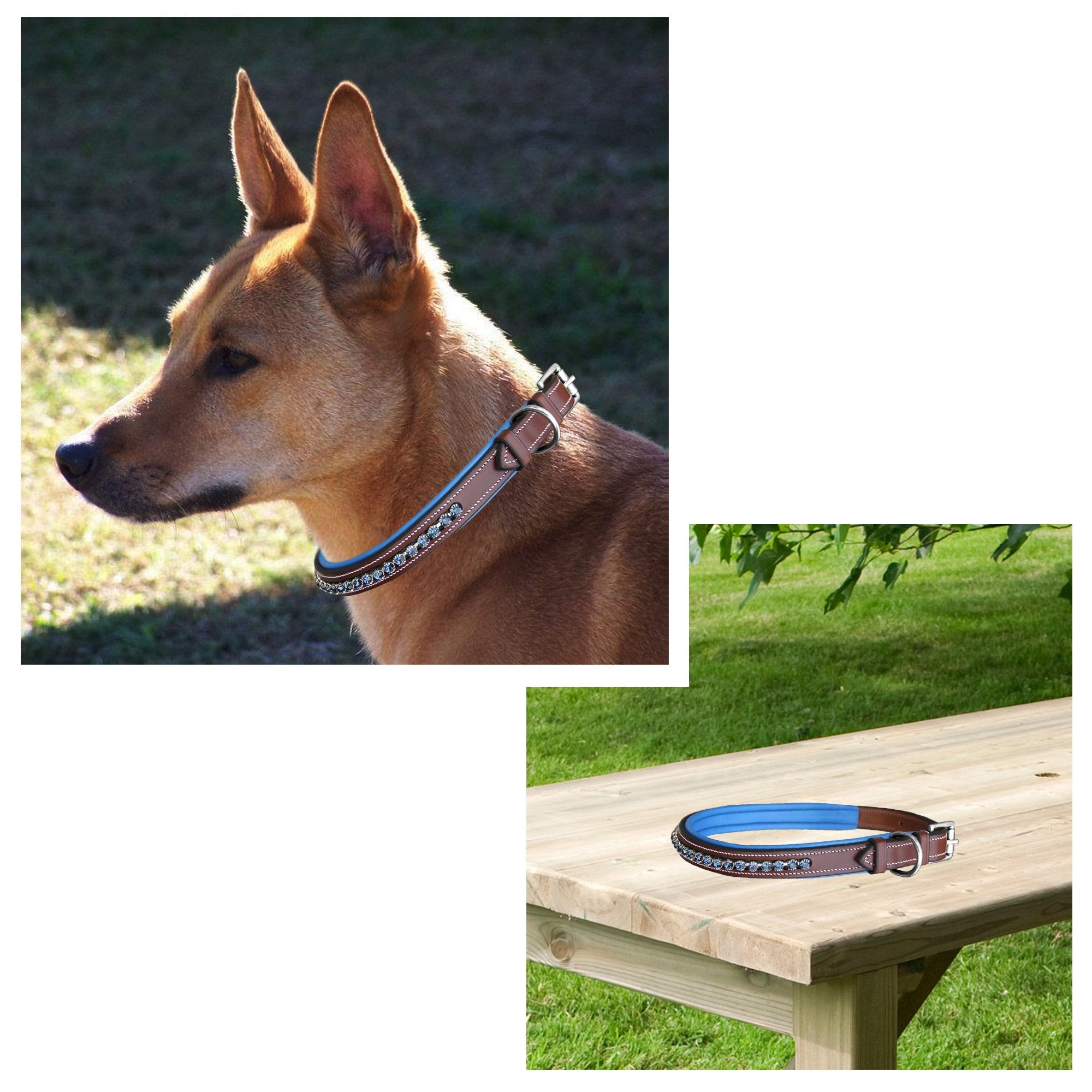ExionPro Dark Blue Bling Dog Collar With Leash