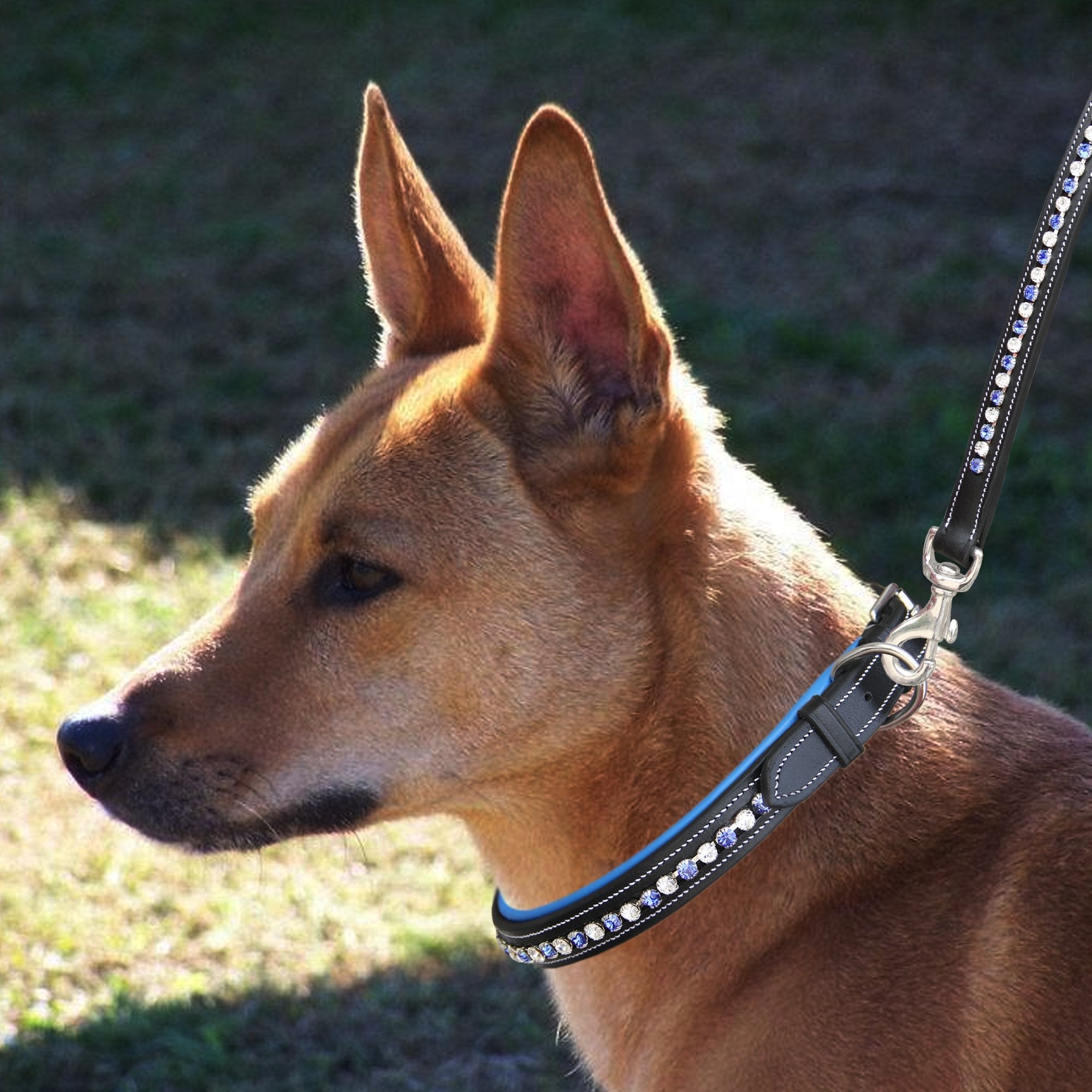 ExionPro White &amp; Blue Bling Dog Collar With Leash