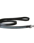 ExionPro Blue Bling Dog Leash