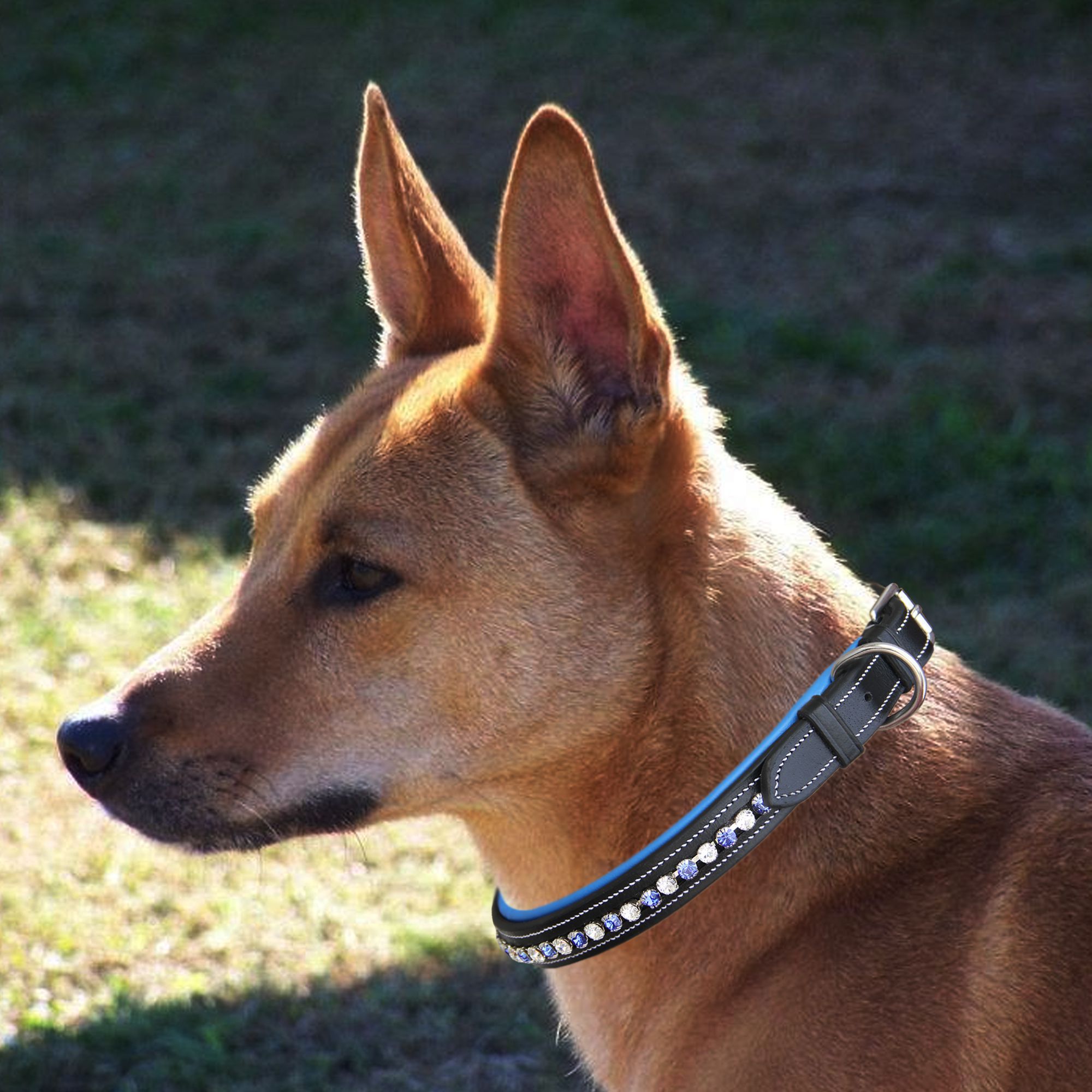 ExionPro White &amp; Blue Bling Dog Collar
