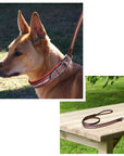 ExionPro Red Bling Padded Dog Leash