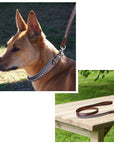 ExionPro Dark Blue Bling Dog Leash