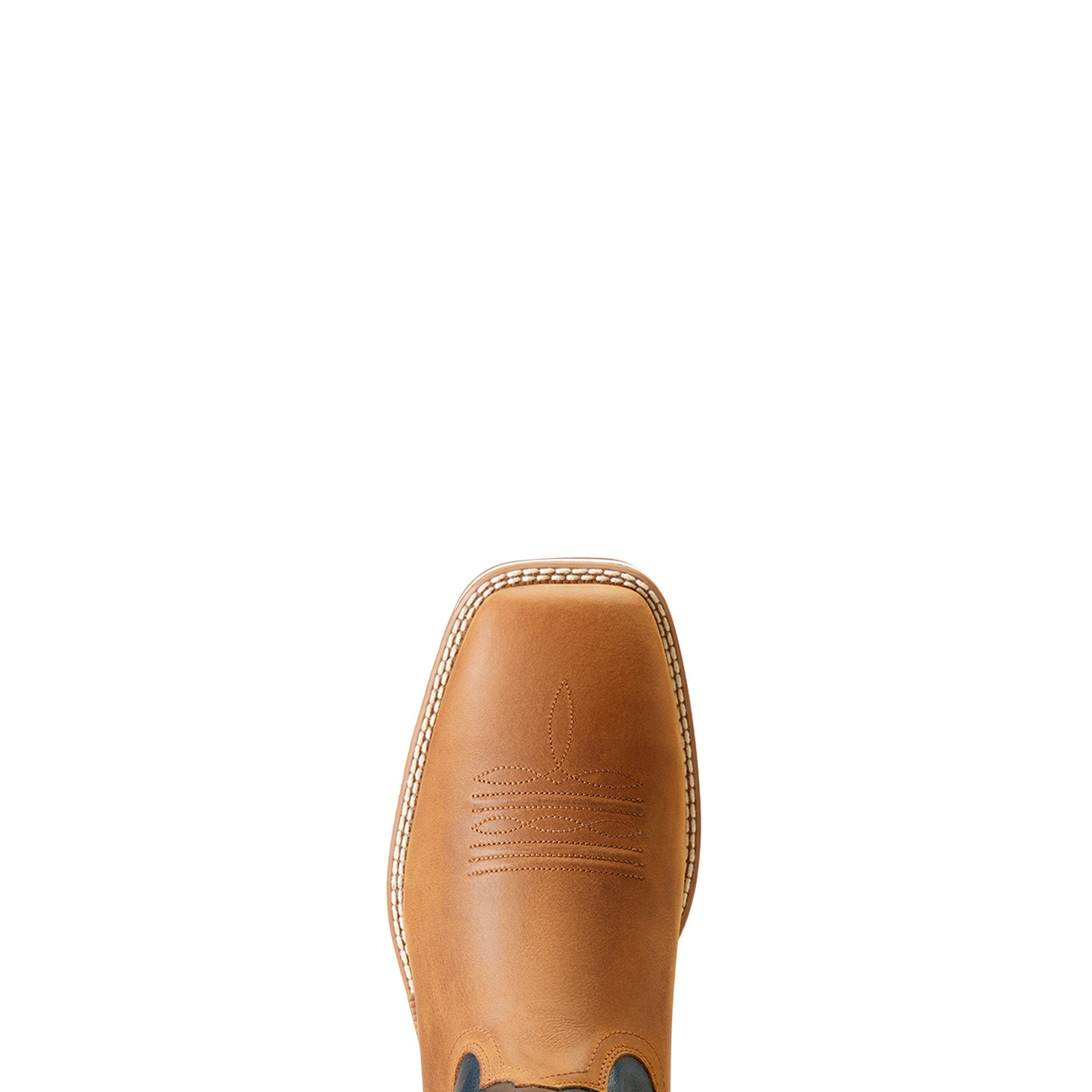 Mens Ridgeback Boot