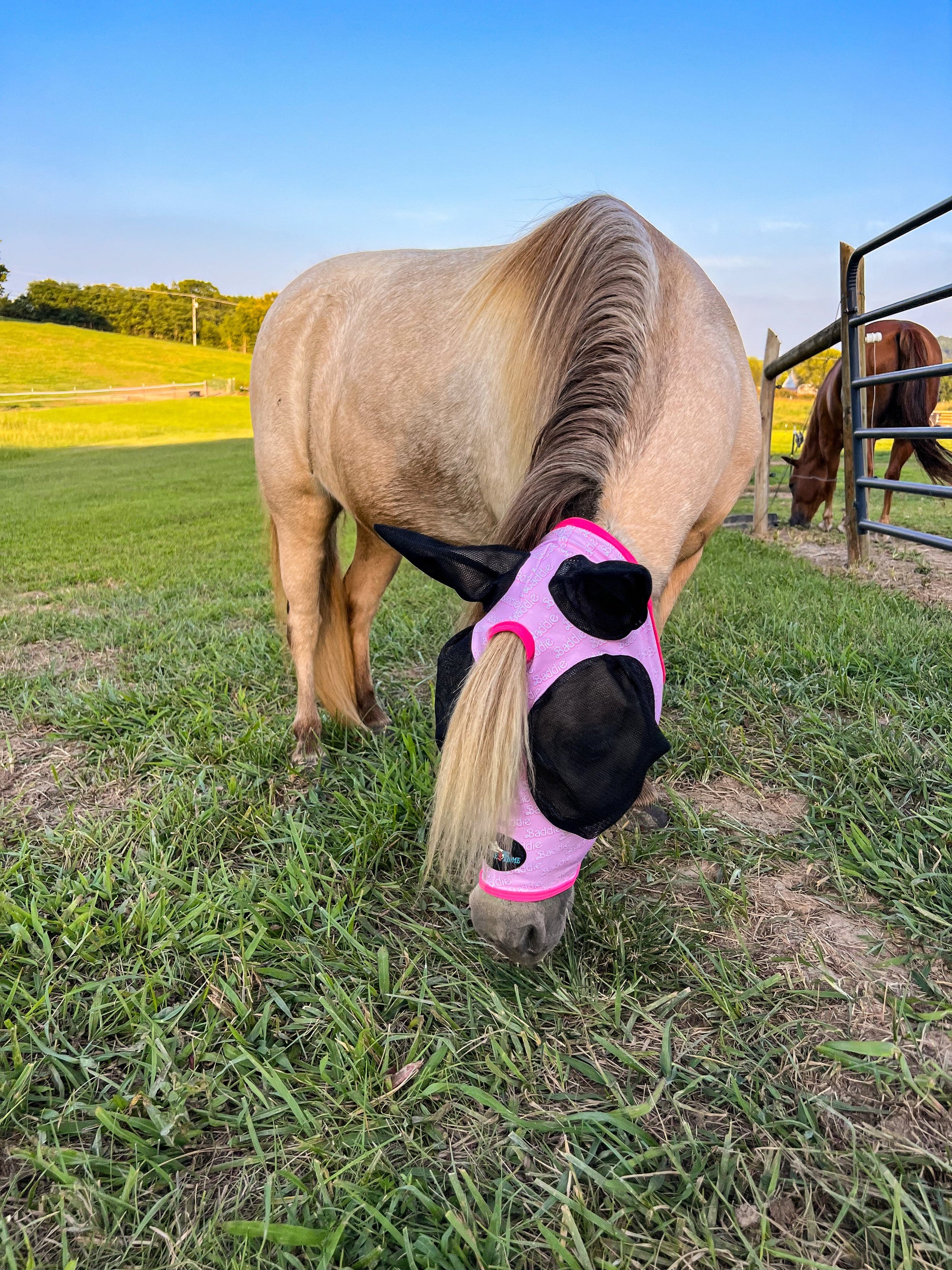 Baddie Fly Mask