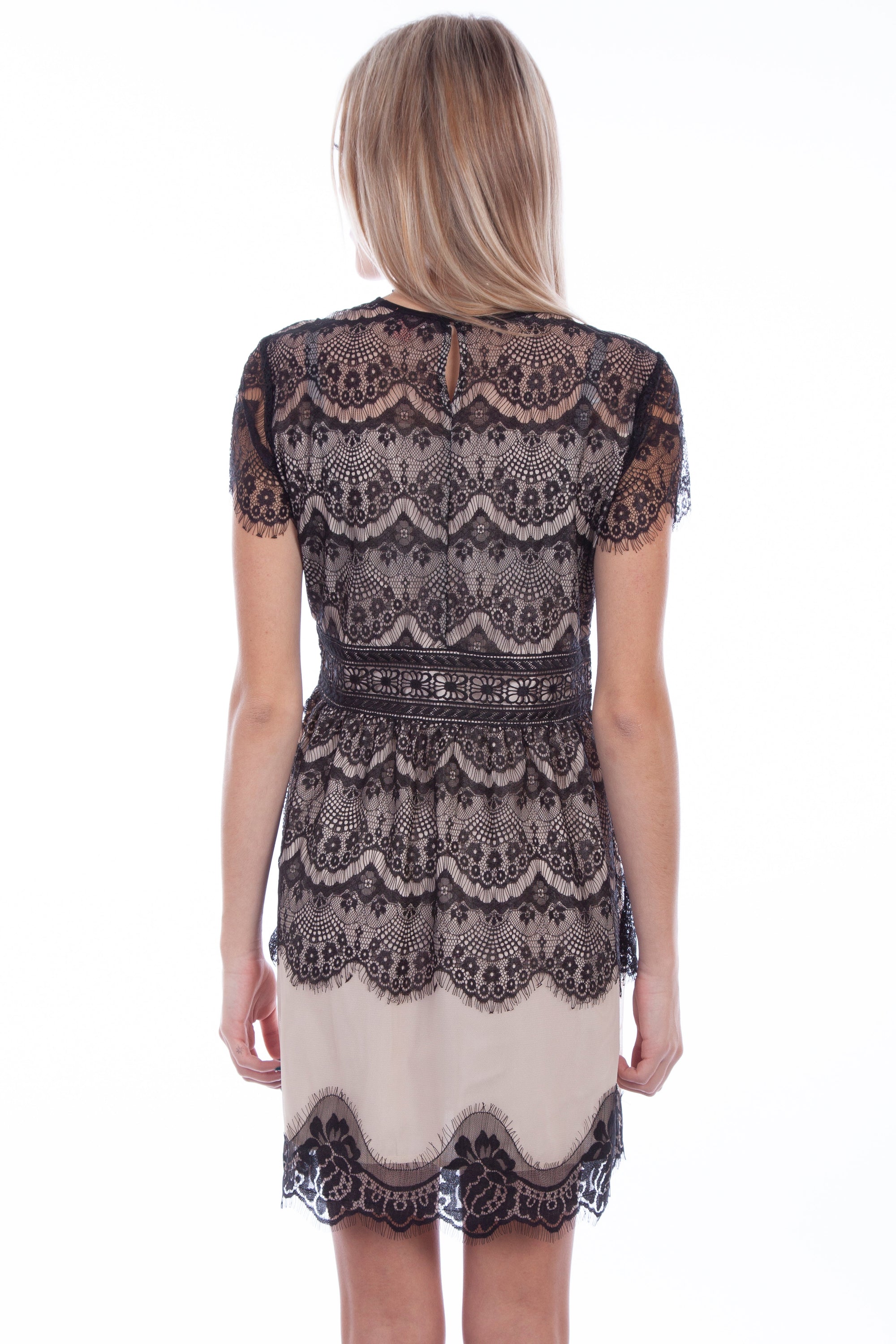 Contrast Lining Lace Dress - HC612