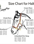 ExionPro Duo-Tone Leather Halter - White