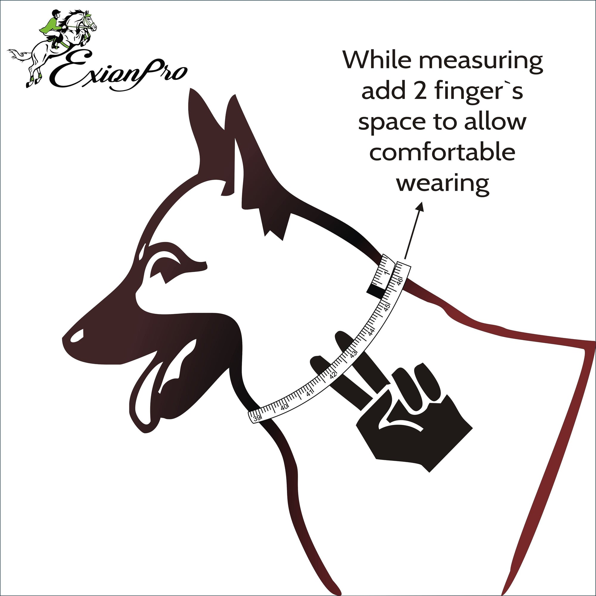 ExionPro White &amp; Blue Bling Dog Collar