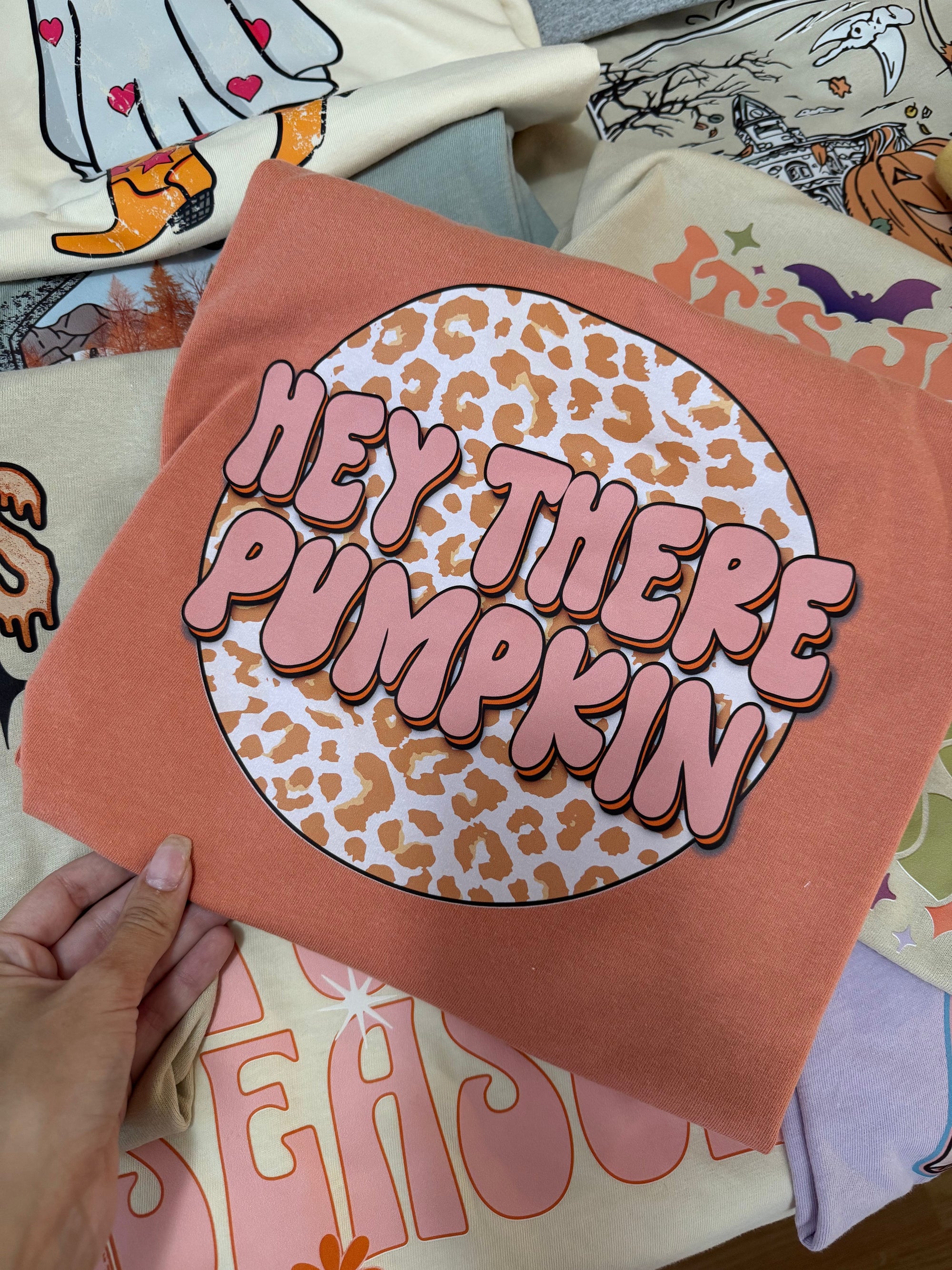 Hey there pumpkin tee &amp; sweatshirt
