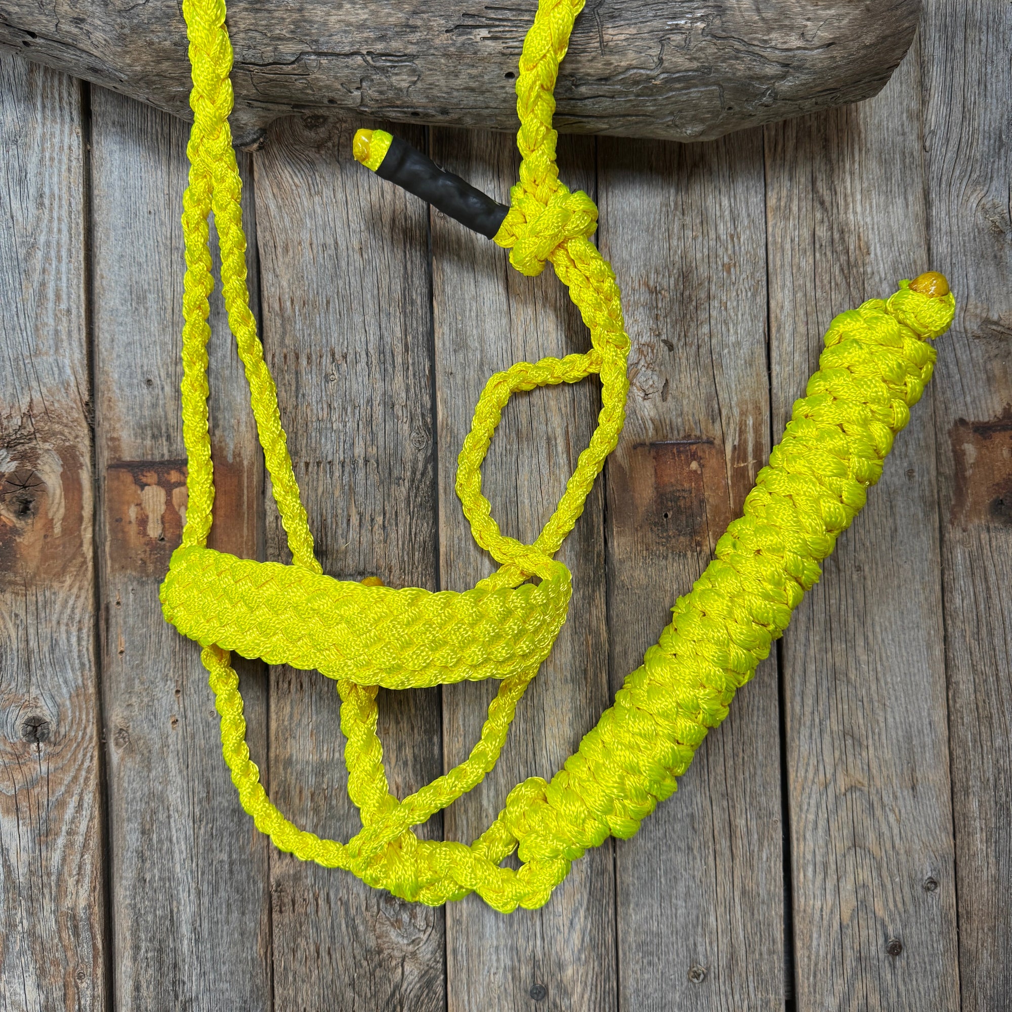 Neon Yellow Mule Tape Halter With Ten Foot Lead Removable Customization Available