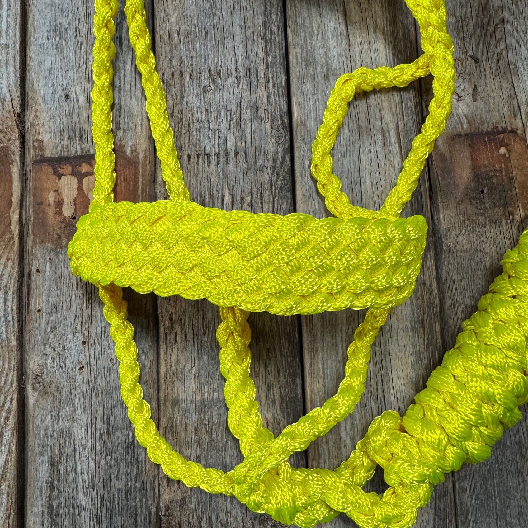 Neon Yellow Mule Tape Halter With Ten Foot Lead Removable Customization Available