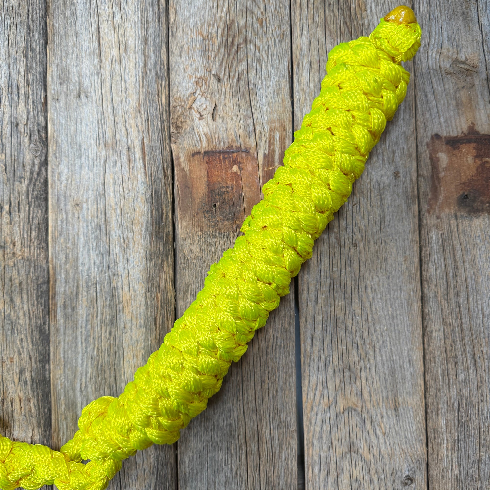 Neon Yellow Mule Tape Halter With Ten Foot Lead Removable Customization Available