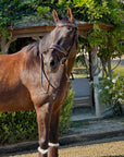 The Sun King Brown Patent Leather Snaffle Bridle