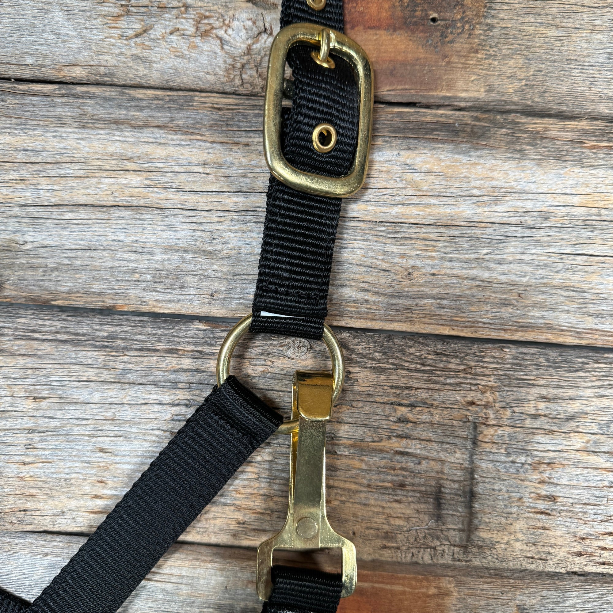 Black Nylon Halter with Cowhide Leather Noseband